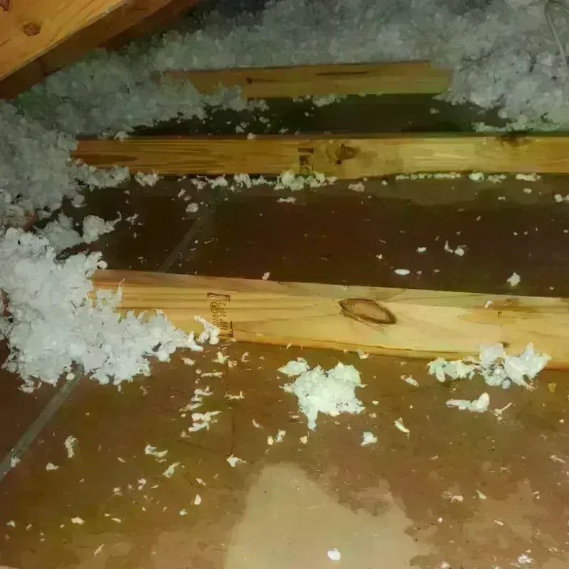 Attic Water Damage in Hickory Creek, TX